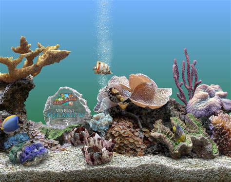 Dream Aquarium Screensaver V 1234 Full Recruitmentzoom