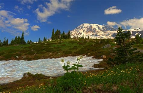 Visit Rainier Mt Rainier Entrance Fees To Be Waived On Veterans Day