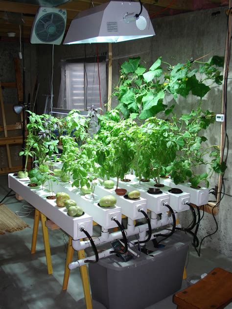 Pin By Tommy Green On Indoor Gardening Indoor Vegetable Gardening