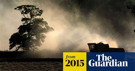 Farm Dust That Protects Children From Allergies Could Lead To Asthma