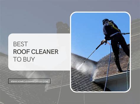Top 15 Best Roof Cleaner To Buy With Reviews 2024
