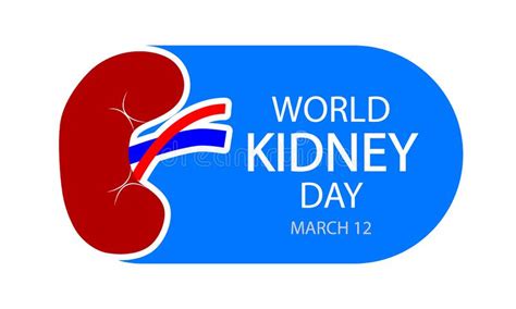 World Kidney Day 12 March Stock Vector Illustration Of Human 238895748