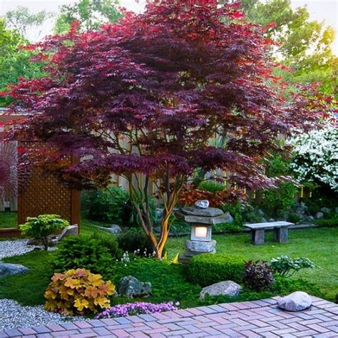 Here are 35 simple design and plant ideas to create the look. 21 Japanese Style Garden Design Ideas - Live DIY Ideas
