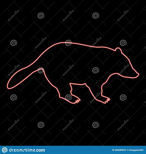 Neon Badger Animal Wild Meles Taxus Predatory Mammal Family Kunihih