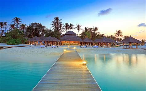 Maldives Dock Island Beach Palm Trees Wallpaper Maldives Resort