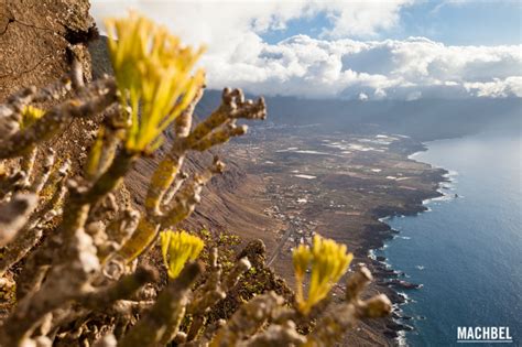 El Hierro La Pequeña Gran Isla De Canarias Machbel