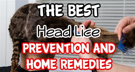 Head Lice Prevention And Home Remedies