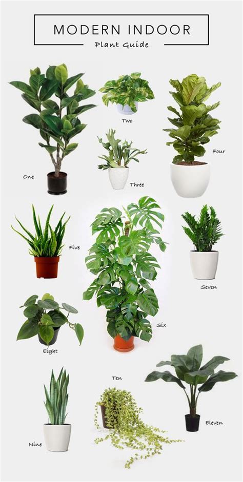 Decorating With Nature Plants Indoor Plants Floating