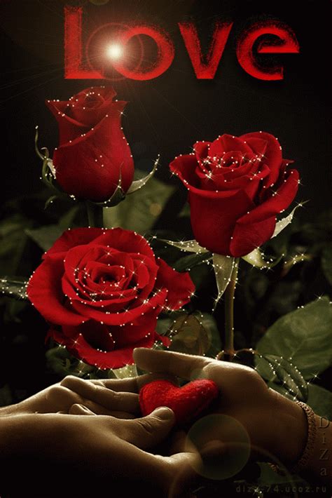 See more ideas about love flowers, flowers, beautiful flowers. red roses ~~ love - Beautiful Pictures Fan Art (36544704 ...