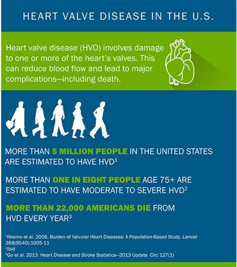 Infographic Shows Heart Valve Disease Awareness In Us Is Low Heart