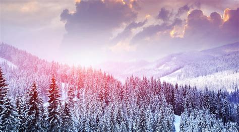 7680x4320 Landscape Winter Snow 8k Wallpaper Hd Nature 4k Wallpapers