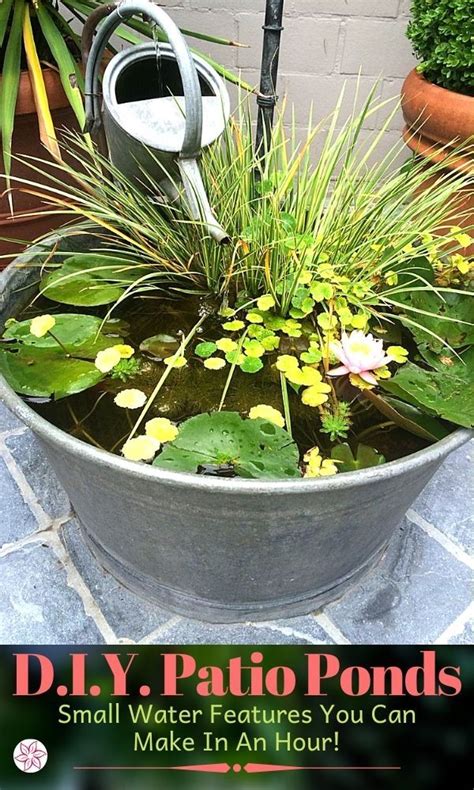 Stunning Water Features You Can Make In A Day Container Water Gardens