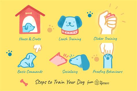 Dog Training 101 How To Completely Train Your Dog
