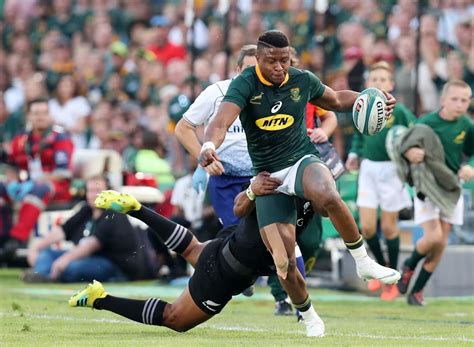 Get the latest news, pictures and video. Boks‚ All Blacks dominate Rugby Championship team of the ...