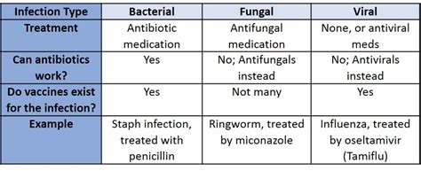 Different Treatments For Different Pathogens Ask A Biologist