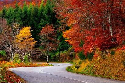 Fall Nature Autumn Trees Colorful Forest Road