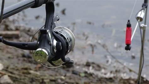 How To Choose A Spinning Reel Complete Guide TRIZILY COM
