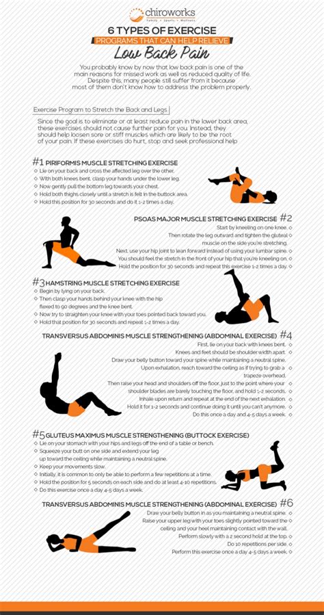 There are two types of back pain: 6 Types Of Exercise Programs That Can Help Relieve Low ...