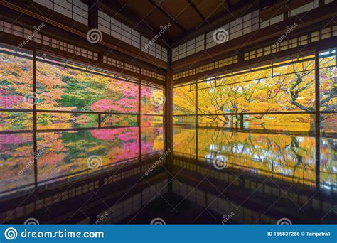 Interior Of Ruriko In Temple With Colorful Maple Leaves Or Fall Foliage