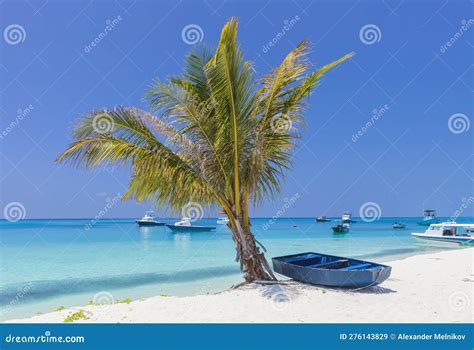 Palm Tree And Wooden Boat On The Shore Of The Indian Ocean Stock Image