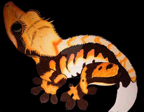 Tricolor Crested Gecko By Hypnoticpropaganda On Deviantart