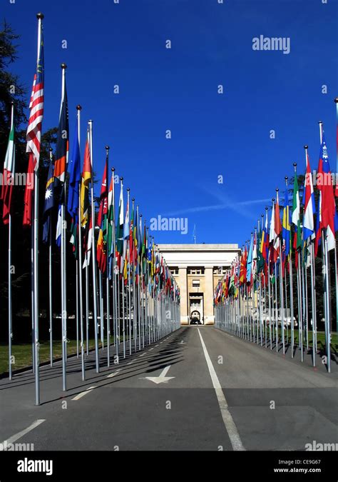 Line Of National Flags On Poles At The Un European Headquarters In