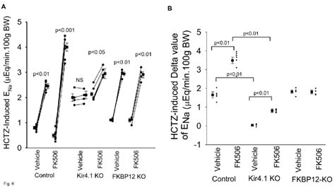 Fk506 Induced Stimulation Of Hctz Induced Natriuresis Is Attenuated In