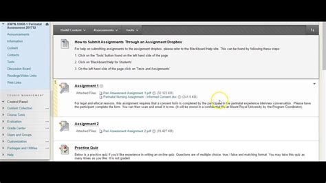 How To Submit A Babe Assignment In Blackboard Learn YouTube