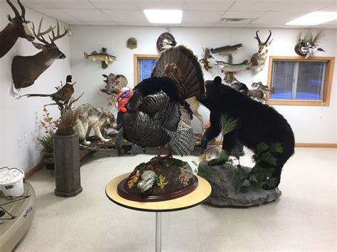 Full Strut Turkey Mounts Stehlings Taxidermy