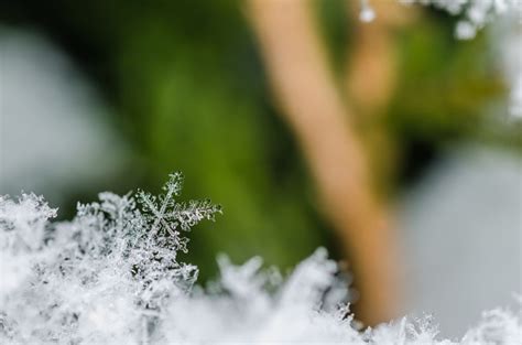 Beautiful Snow Crystal In Nature Stock Photo Download Image Now