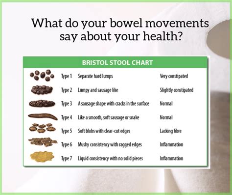 Are Your Bowel Movements Healthy Azim Solutions