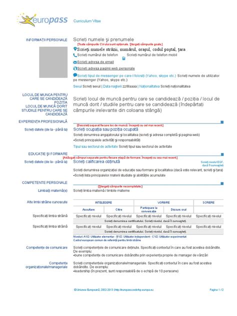 Europass Cv Lv Document Literacy Basics