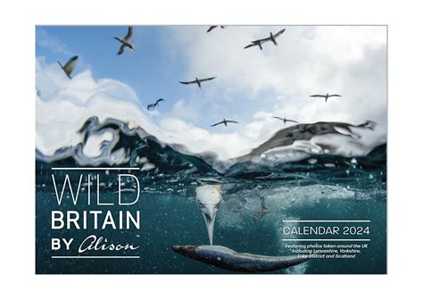 Buy 2024 Wild Britain British Wildlife By Alison A3 Wall Space To Write