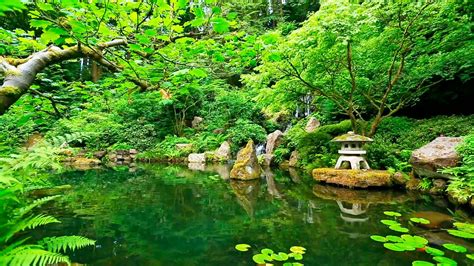 Deep Sleep Music And Nature Sounds Zen Garden Hd Relaxing Beautiful