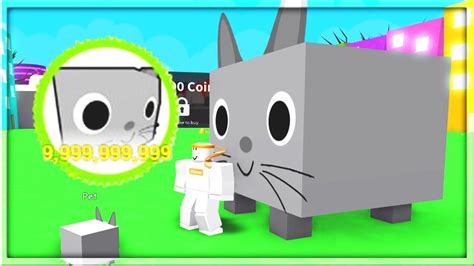 Big Cat Pet Simulator X