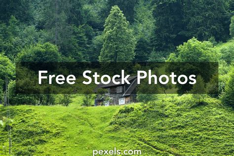 100000 Best Green Nature Photos · 100 Free Download · Pexels Stock