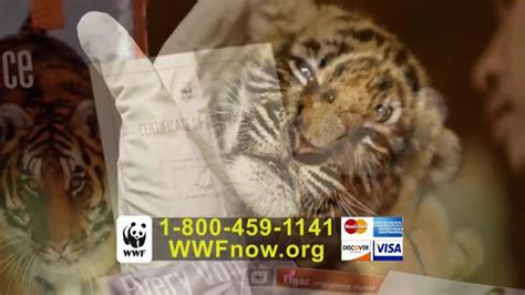 World Wildlife Fund Tv Spot Tiger Adoption Ispottv