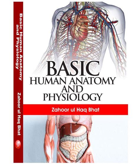 Basic Human Anatomy And Physiology Buy Basic Human Anatomy And
