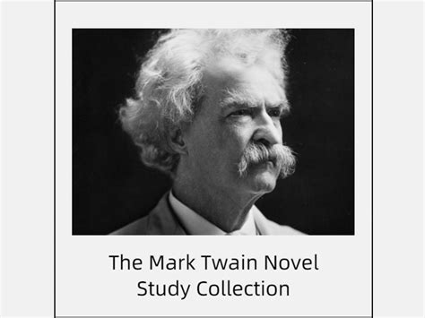 Mark Twain Novel Study Collection Reed Novel Studies Teaching
