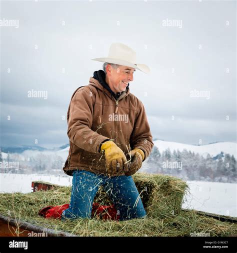 Kneeling Cowboy With Hat Hi Res Stock Photography And Images Alamy