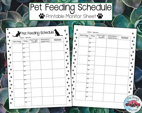 Printable Pet Feeding Schedule Pet Monitoring Sheet 85 X 11 Etsy
