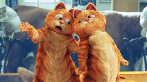 Garfield A Tail Of Two Kitties 2006 Backdrops — The Movie Database