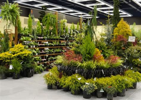 Retail Garden Center Display Ideas Garden Center Displays Plants