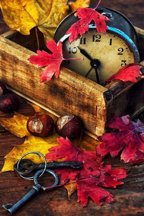Jun 20, 2021 · quanto ai vaccini, gimbo lancia un appello: Gimbo : Foto | Autumn leaves, Autumn inspiration, Old clocks