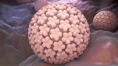¿qué Es El Virus Del Papiloma Humano Vph Síntomas Causas Y Cómo