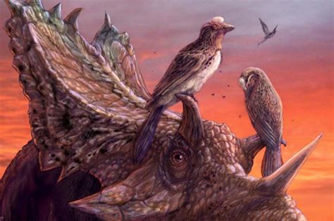 Near Complete Fossil Reveals Evolution Of Advanced Flight Among Early