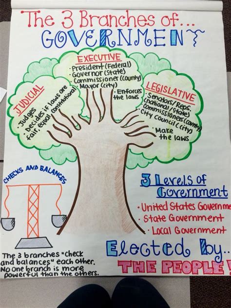 3rd Grade Civics And Government
