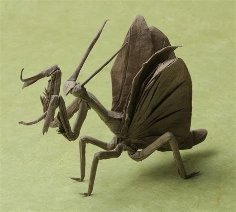 Simply Creative Insect Origami By Brian Chan