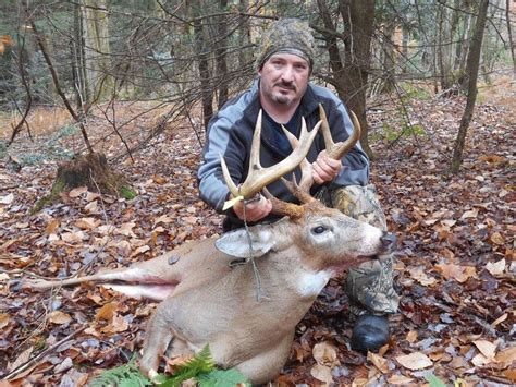 Upstate Ny Deer Hunters Share Photos Of Big Firearm Crossbow Bucks