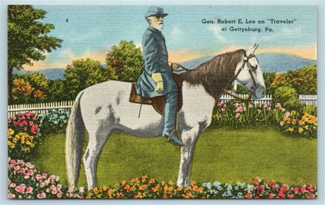 Postcard General Robert E Lee On Traveler At Gettysburg Battlefield Pa